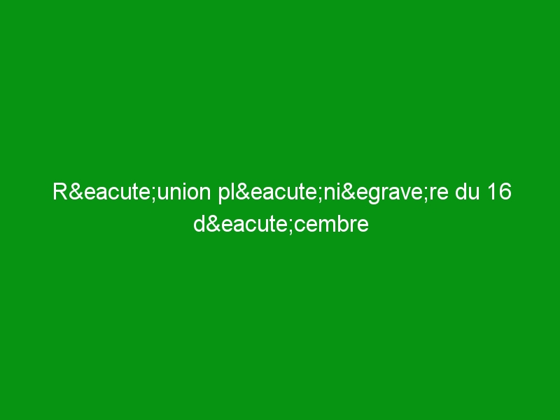 Réunion plénière du 16 décembre